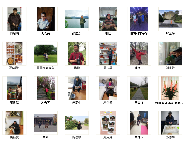 1608688433688003203.png 集体.png