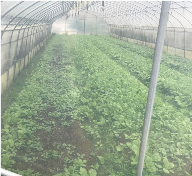 1573001188876051758.png 44.png